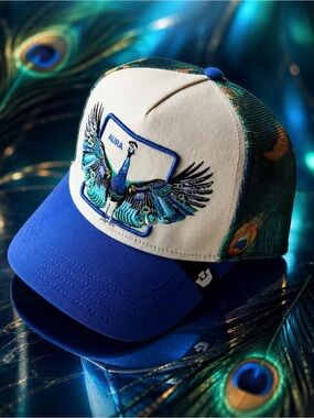 Goorin Bros. "AURA" Trucker Hat.
Peacock Mesh SnapBack. NWT